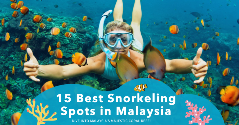 15 Best Snorkeling Malaysia Spots You Need To Visit This Year (2024 Edition)
